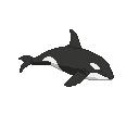 Pixel-art orca